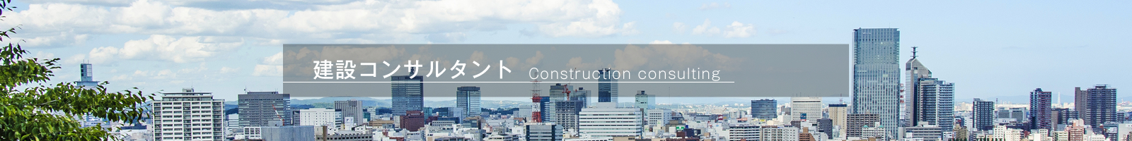 construction-consulting